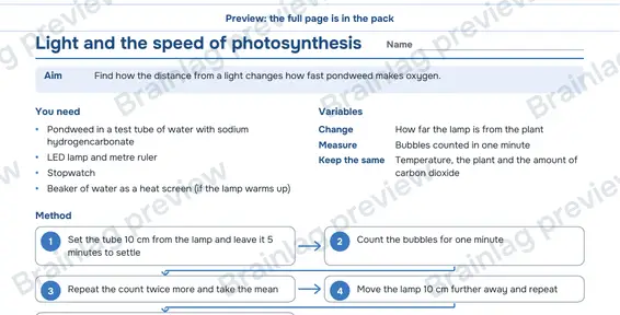 Page 2: Biology cards