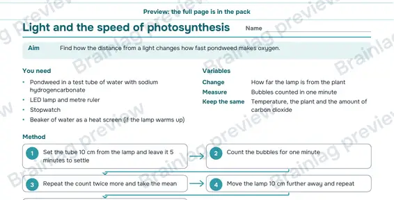 Page 2: Biology cards