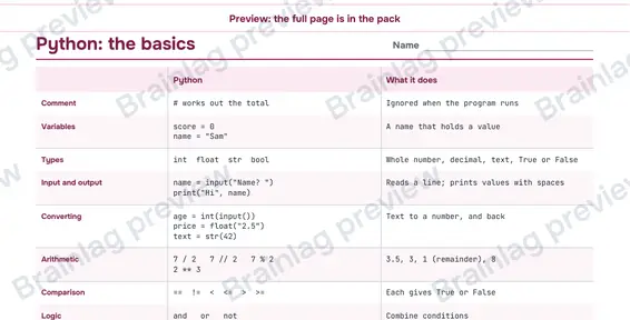 Page 2: Python: the basics