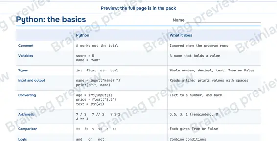 Page 2: Python: the basics